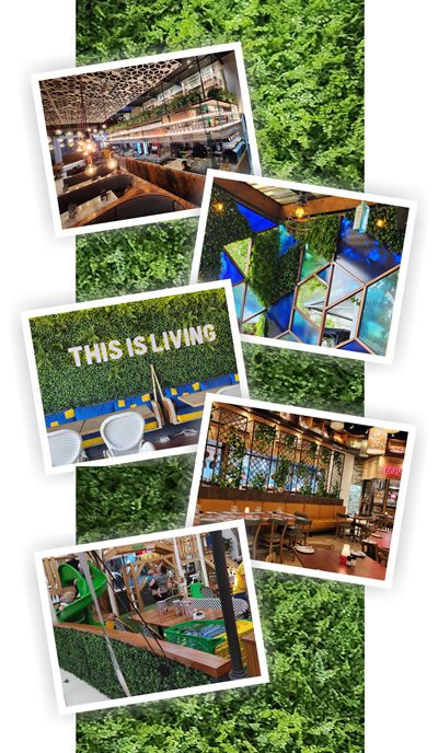 Greenery promotes workplace wellness.